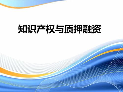 盛陽(yáng)小講堂：“專(zhuān)利權(quán)質(zhì)押登記申請(qǐng)表”填寫(xiě)的具體操作