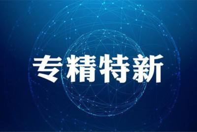 “專精特新”企業(yè)如何布局高質量專利申請！?